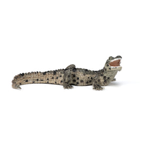 Figurine Bébé crocodile Papo en PVC, Collection Animaux sauvages, jouet éducatif idéal pour enfants et collectionneurs