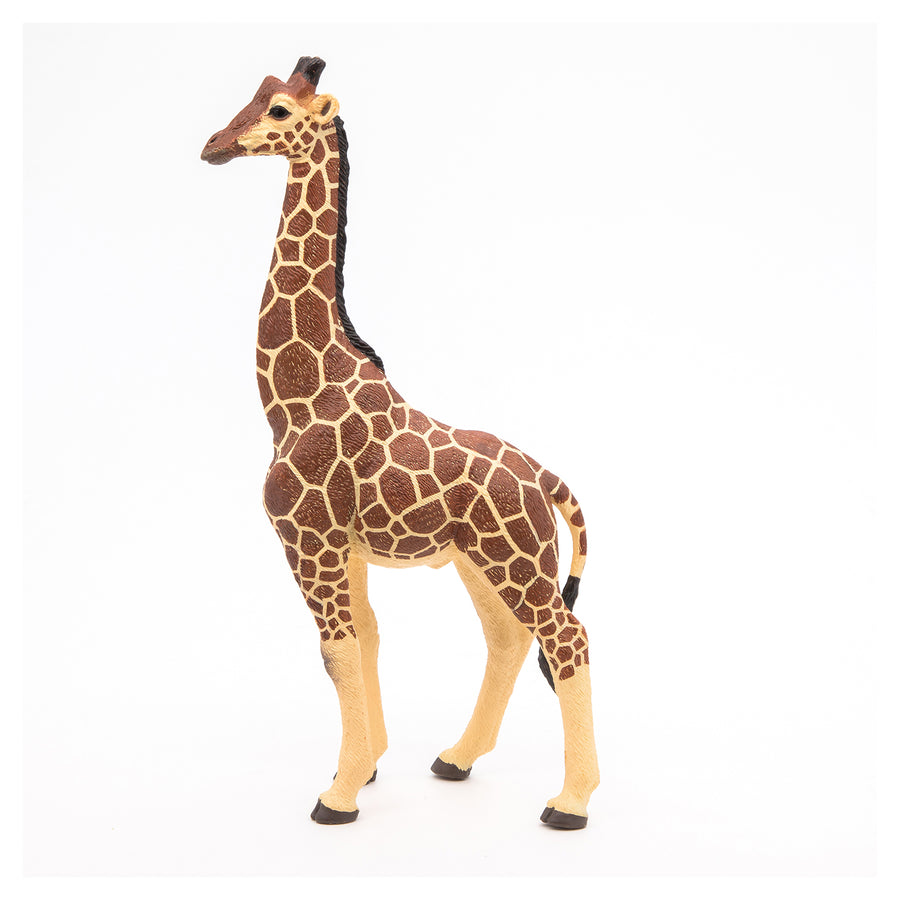 Figurine Girafe mâle Papo en PVC, thème savane, Collection Animaux sauvages, jouet éducatif idéal pour enfants et collectionneurs