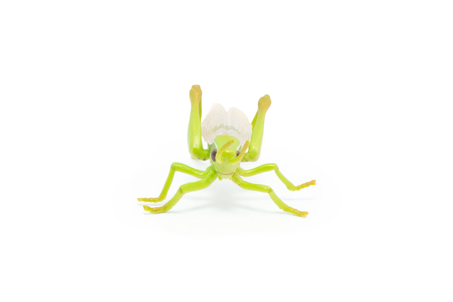 Figurine Sauterelle Papo en PVC, thème insectes, Collection Animaux des jardins, jouet éducatif idéal pour enfants et collectionneurs