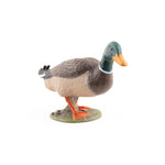Figurine Canard colvert Papo en PVC, thème basse-cour, Collection Vie à la ferme, jouet éducatif idéal pour enfants et collectionneurs