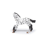 Poulain appaloosa noir Papo en PVC, Collection chevaux, jouet éducatif idéal pour enfants et collectionneurs