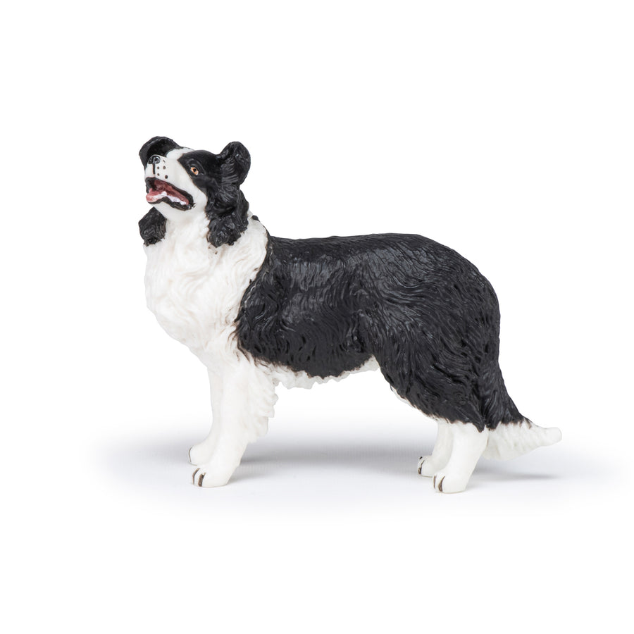 Figurine Border collie Papo en PVC, Collection chiens et chats, jouet éducatif idéal pour enfants et collectionneurs