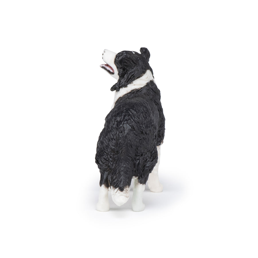 Figurine Border collie Papo en PVC, Collection chiens et chats, jouet éducatif idéal pour enfants et collectionneurs