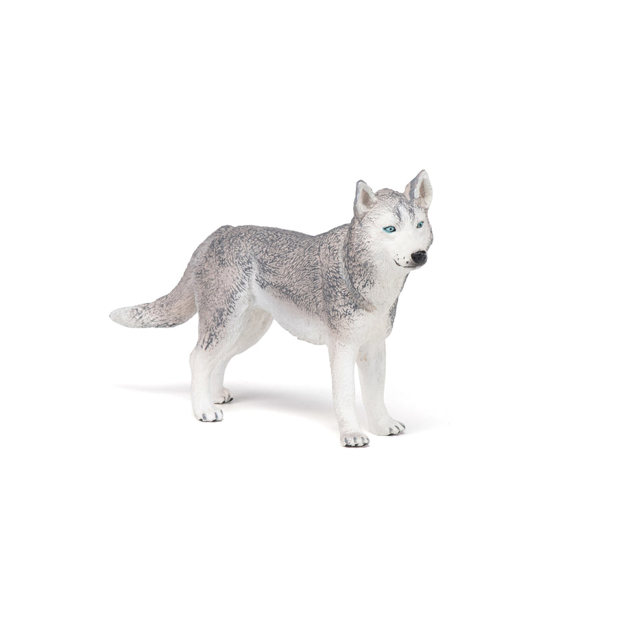 Figurine Husky de Sibérie Papo en PVC, Collection chiens et chats, jouet éducatif idéal pour enfants et collectionneurs