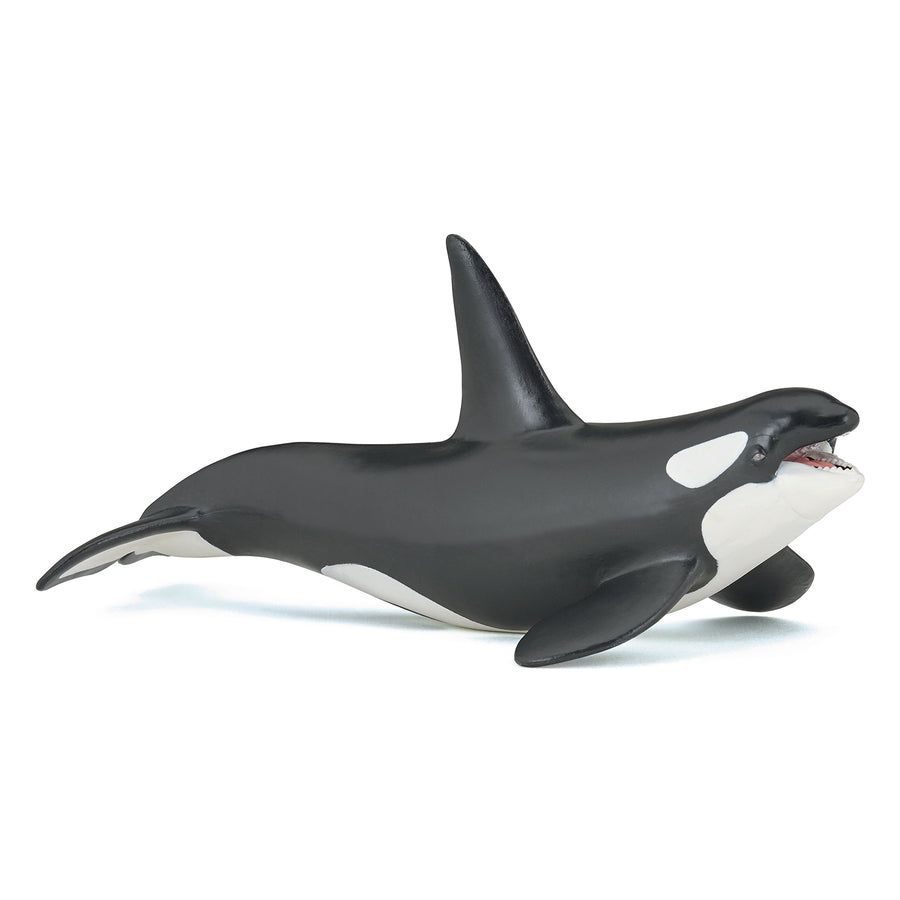 Figurine Orque Papo en PVC, Collection animaux marins, jouet éducatif idéal pour enfants et collectionneurs