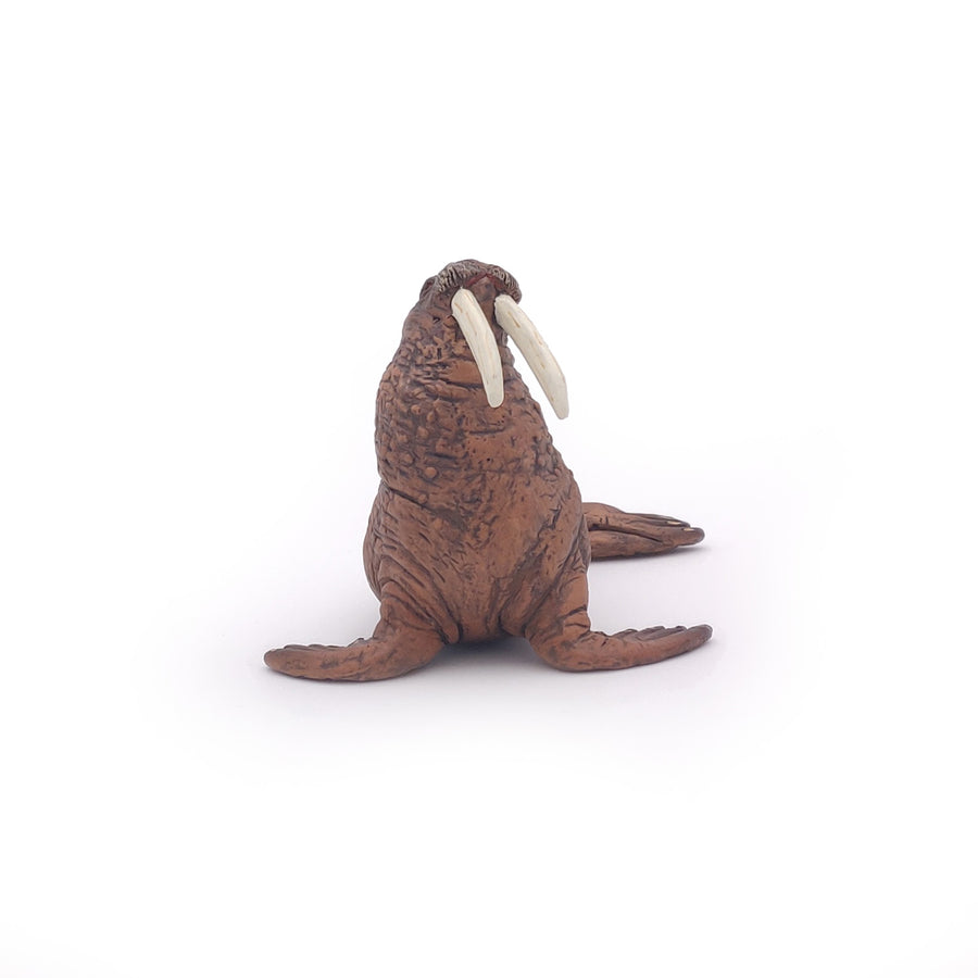 Figurine Morse Papo en PVC, Collection animaux marins, jouet éducatif idéal pour enfants et collectionneurs